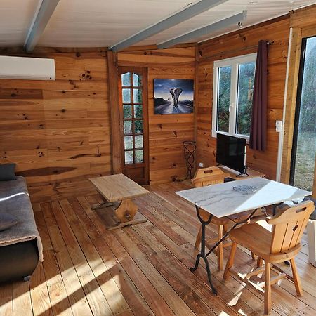 Chalet Banane Devant Piscine, A 6Km Du Festival De Piano De La Roque D'Antheron Rognes المظهر الخارجي الصورة